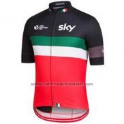 2016 Fahrradbekleidung UCI Weltmeister Lider Sky Grun Trikot Kurzarm und Tragerhose