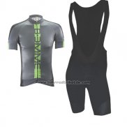 2017 Fahrradbekleidung Biemme Poison Grun Trikot Kurzarm und Tragerhose