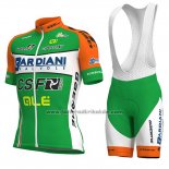 2018 Fahrradbekleidung Bardiani Csf Grun und Wei Trikot Kurzarm und Tragerhose