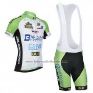 2014 Fahrradbekleidung Bardiani Wei und Grun Trikot Kurzarm und Tragerhose