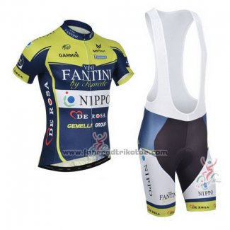 2013 Fahrradbekleidung Vini Fantini Grun und Blau Trikot Kurzarm und Tragerhose