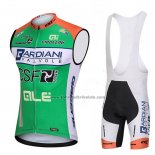 2018 Windweste Bardiani Csf Grun